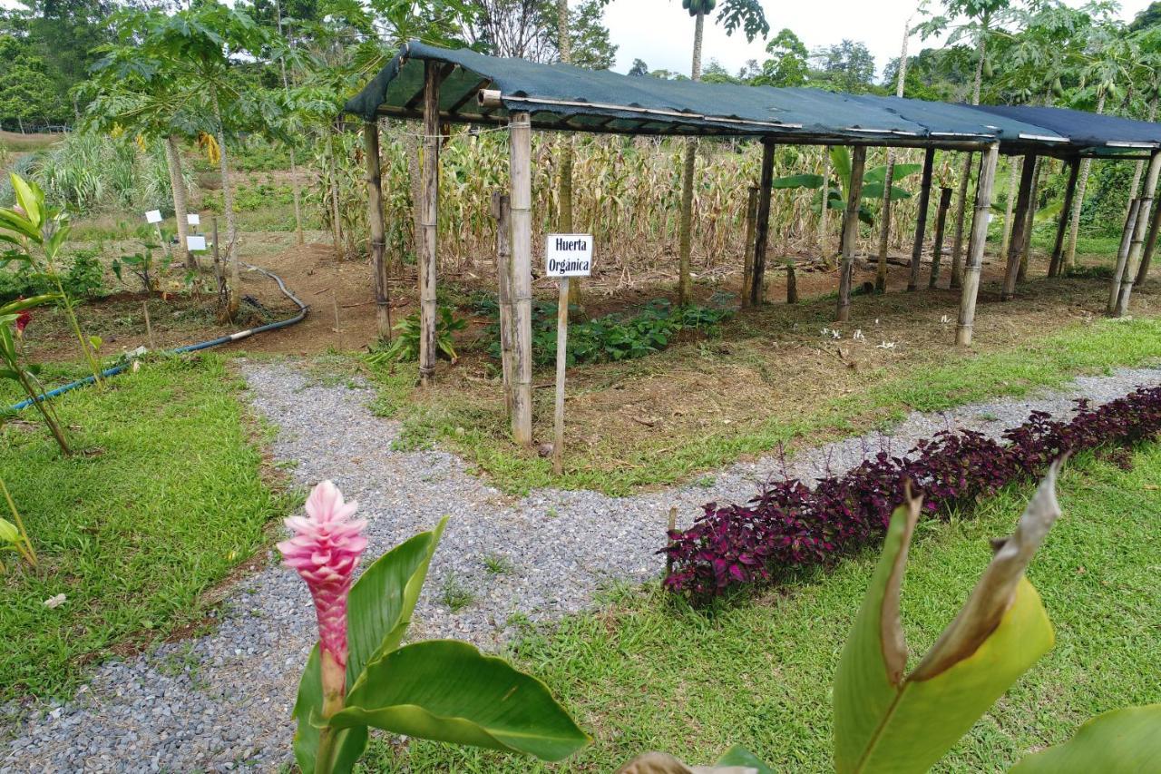 Hope Garden, Sarapiqui, We Connect You With The Sarapiqui Tropical Forest Kültér fotó