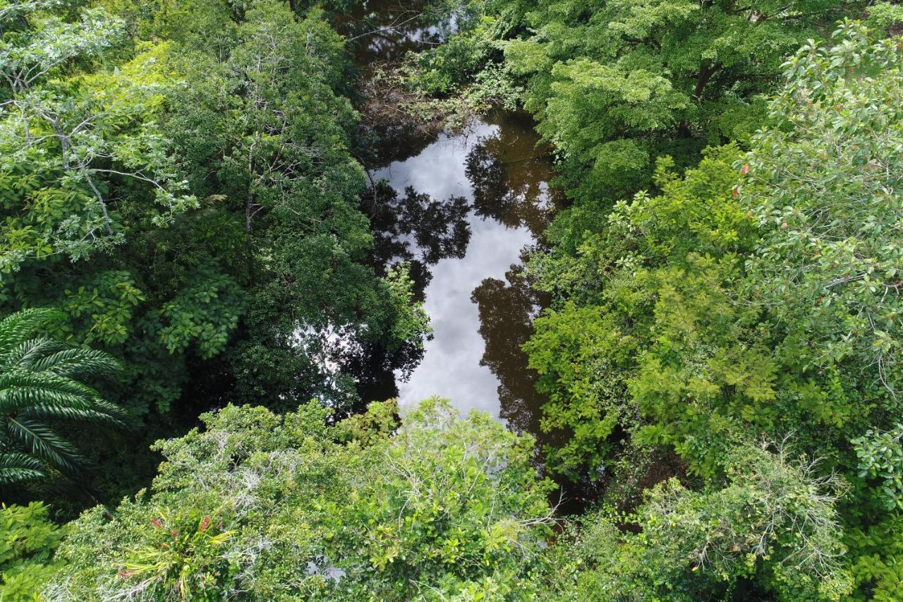 Hope Garden, Sarapiqui, We Connect You With The Sarapiqui Tropical Forest Kültér fotó