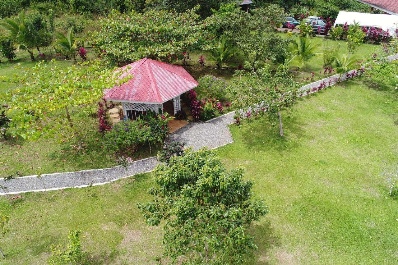 Hope Garden, Sarapiqui, We Connect You With The Sarapiqui Tropical Forest Kültér fotó