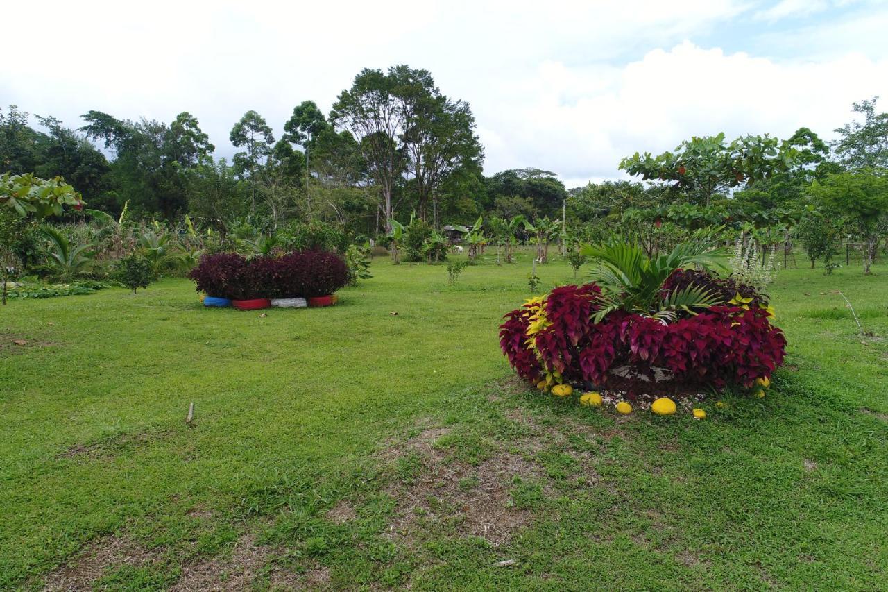 Hope Garden, Sarapiqui, We Connect You With The Sarapiqui Tropical Forest Kültér fotó