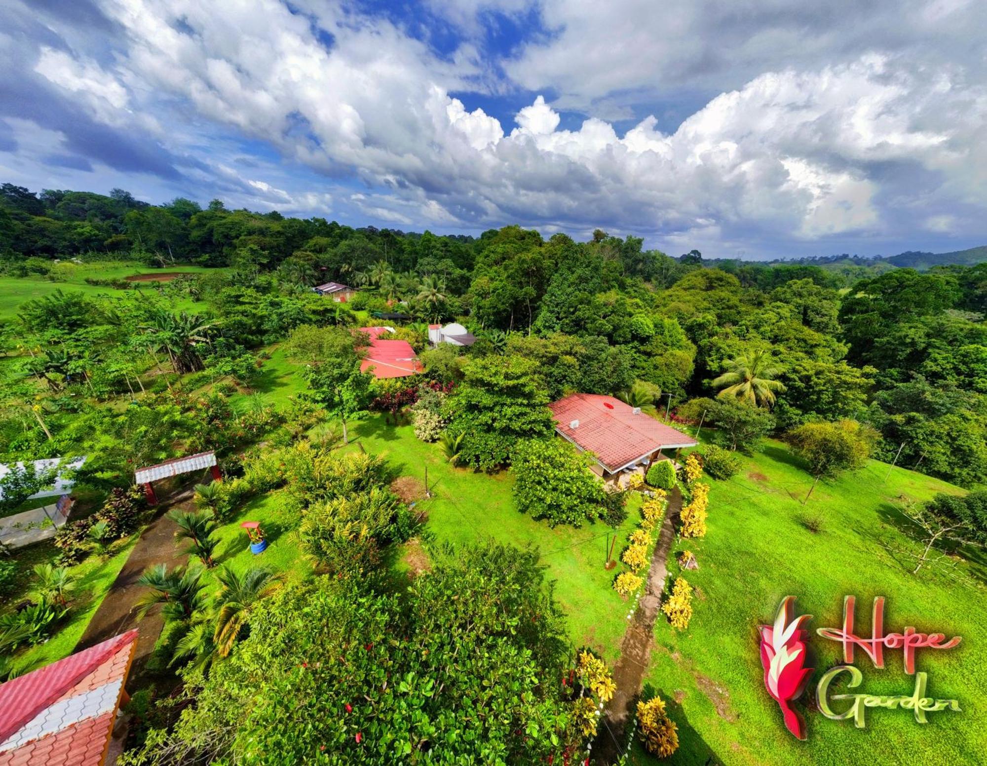 Hope Garden, Sarapiqui, We Connect You With The Sarapiqui Tropical Forest Kültér fotó