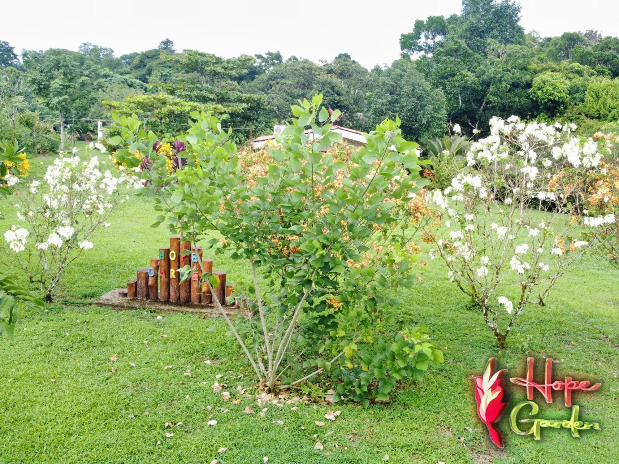 Hope Garden, Sarapiqui, We Connect You With The Sarapiqui Tropical Forest Kültér fotó