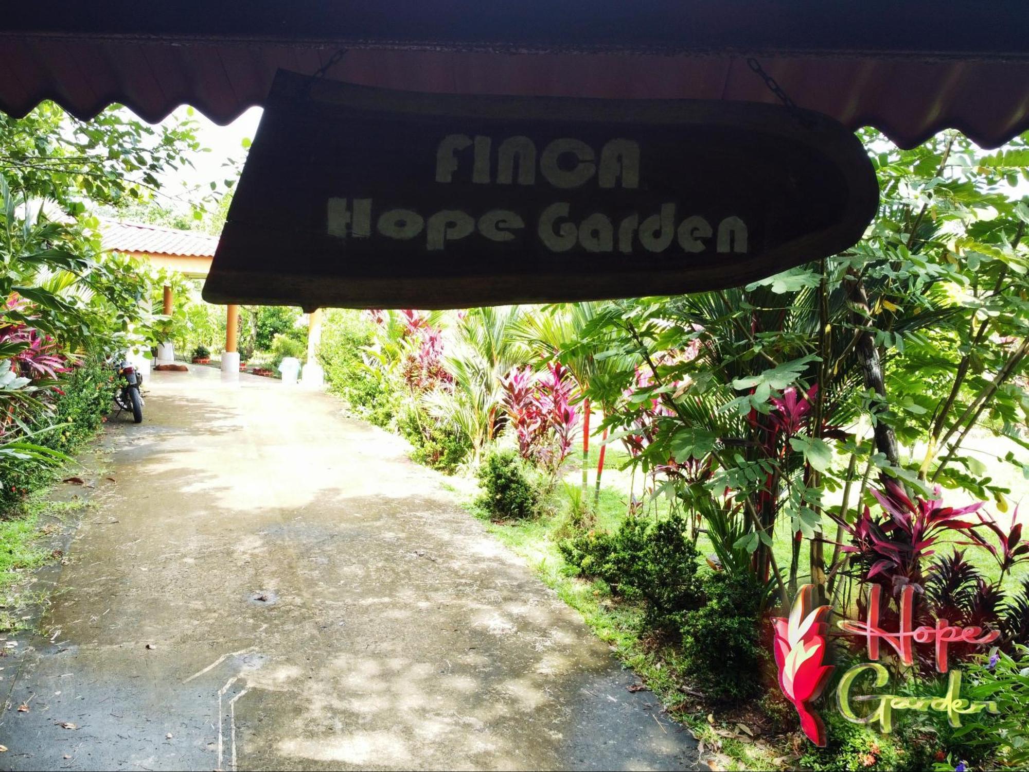 Hope Garden, Sarapiqui, We Connect You With The Sarapiqui Tropical Forest Kültér fotó