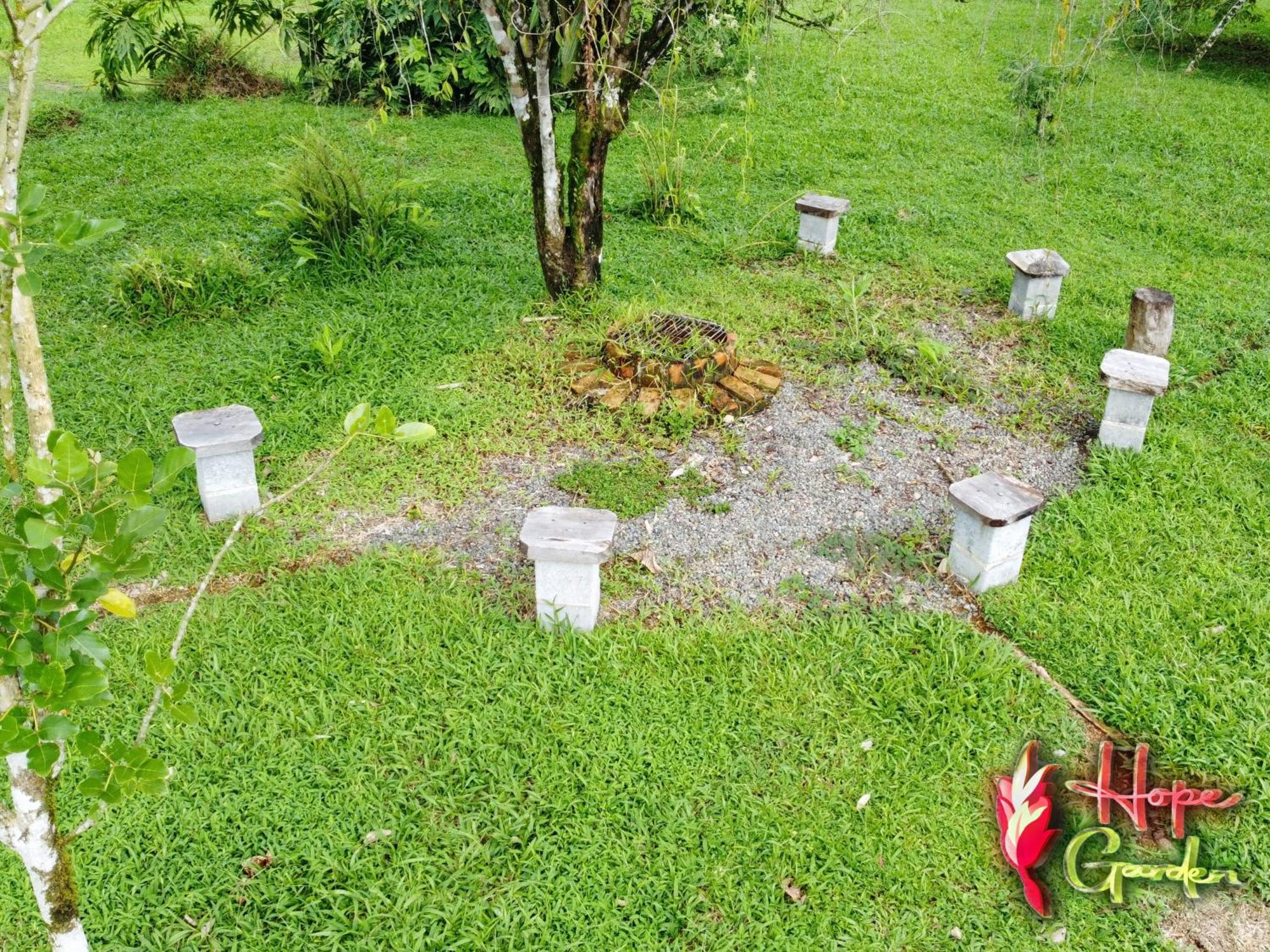 Hope Garden, Sarapiqui, We Connect You With The Sarapiqui Tropical Forest Kültér fotó
