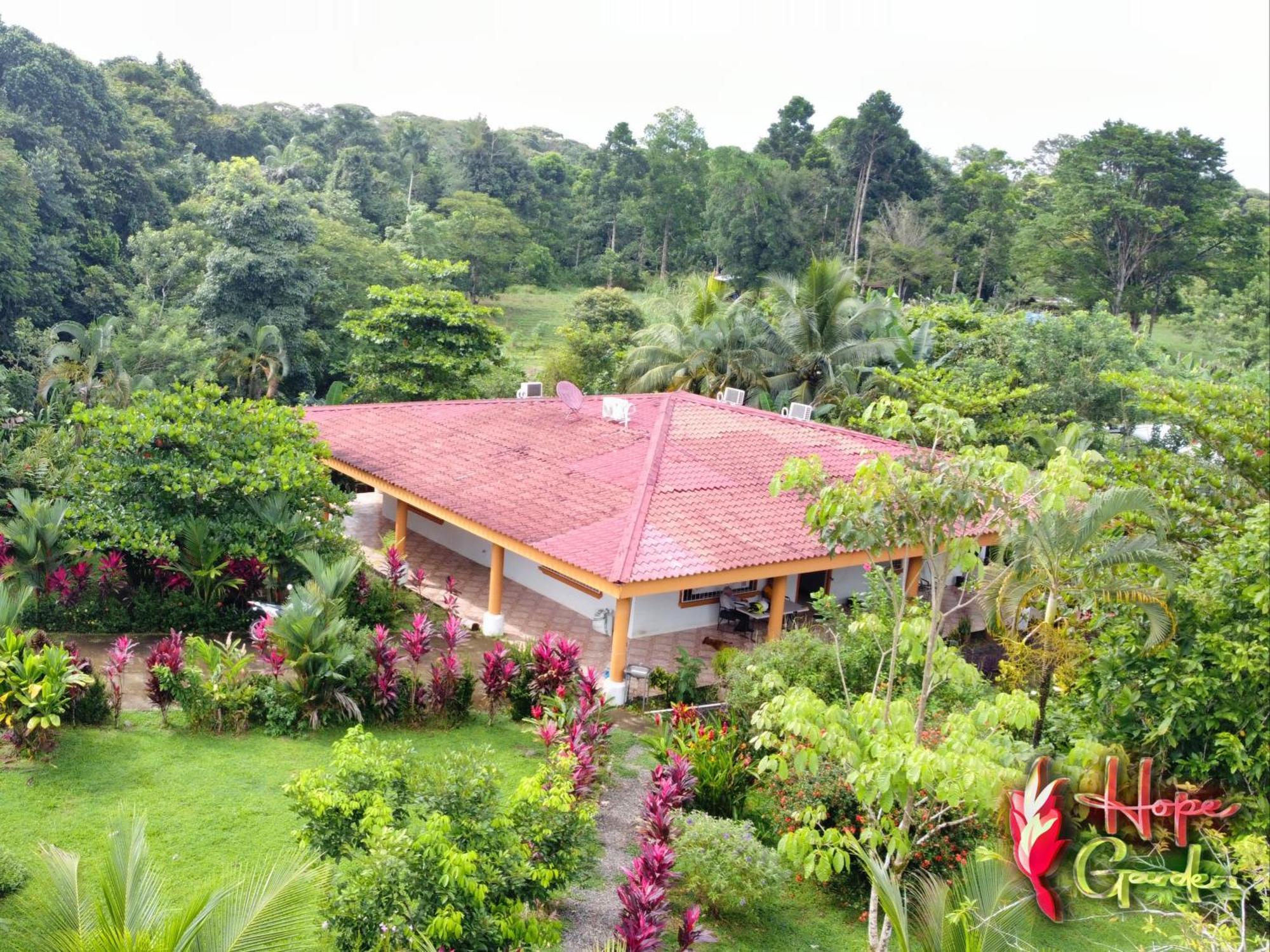 Hope Garden, Sarapiqui, We Connect You With The Sarapiqui Tropical Forest Kültér fotó