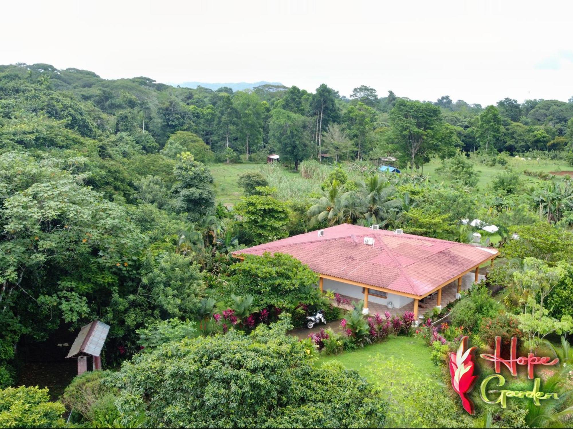 Hope Garden, Sarapiqui, We Connect You With The Sarapiqui Tropical Forest Kültér fotó