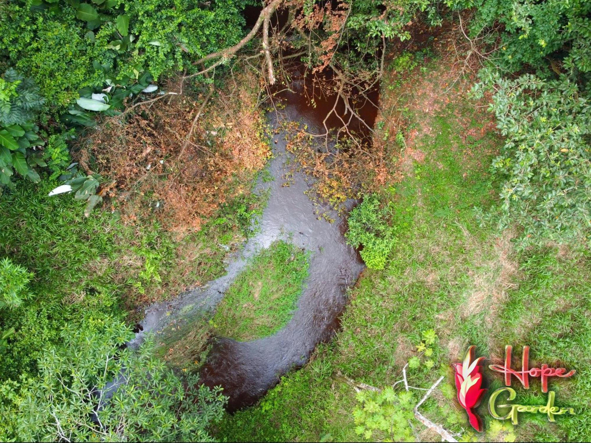 Hope Garden, Sarapiqui, We Connect You With The Sarapiqui Tropical Forest Kültér fotó