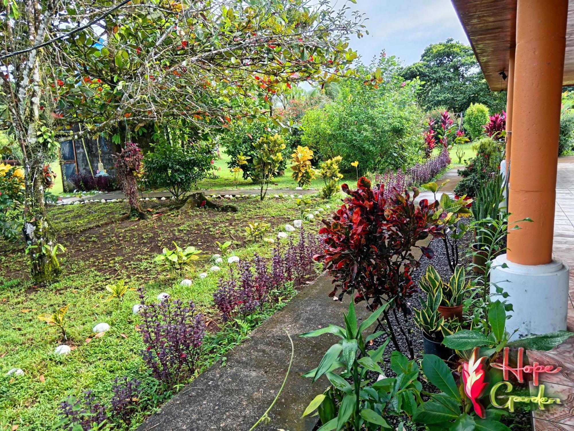 Hope Garden, Sarapiqui, We Connect You With The Sarapiqui Tropical Forest Kültér fotó